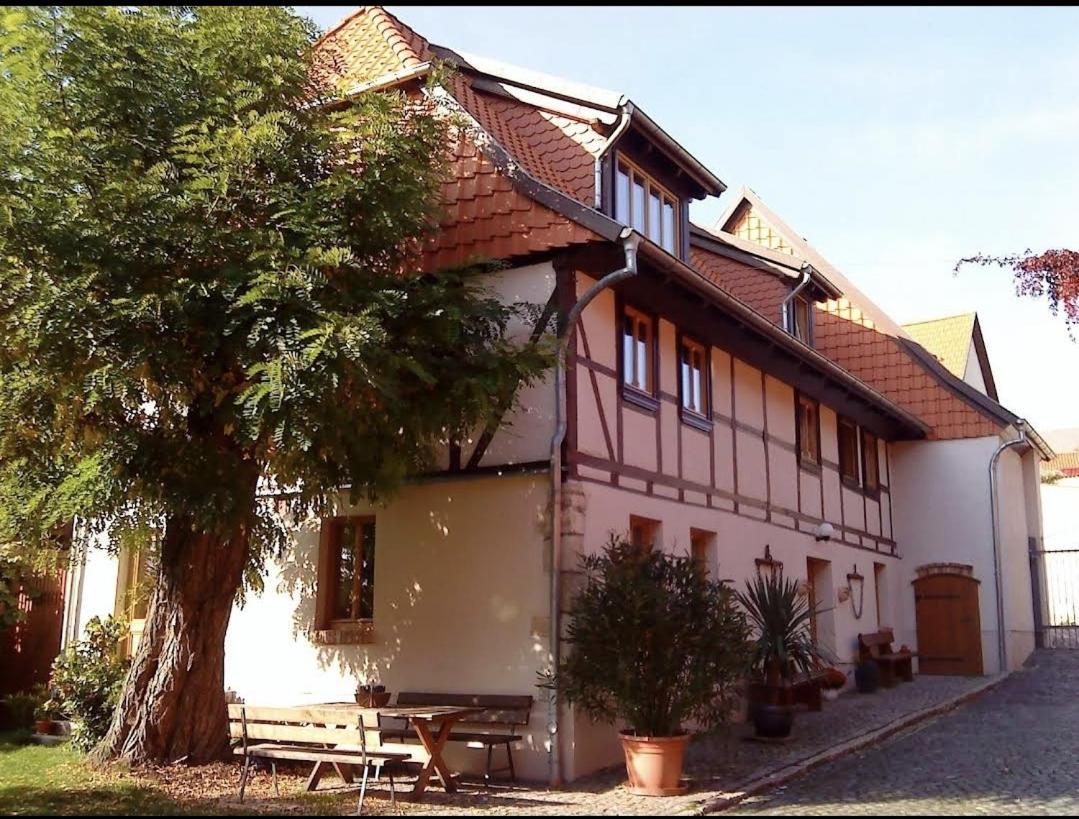 Pension Robinienhof Schadeleben 외부 사진
